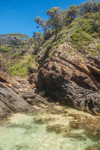 Australien, Seal Rocks, Felsen, Meer und Bäume, lizenzfreies Stockfoto