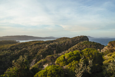 Australia, Seal Rocks, coast - FBF000194