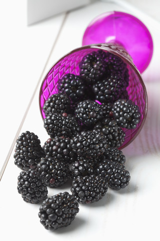 Brombeeren, Rubus sectio Rubus, in einer umgefallenen Schale, lizenzfreies Stockfoto