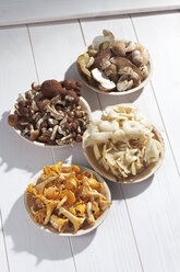 Frische Pilze, Agrocybe aegerita, Goldene Austernpilze, Pfifferlinge und Steinpilze auf einem Holztisch - CSF020748