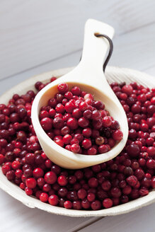 Holzlöffel und Palmblattteller mit Preiselbeeren (Vaccinium vitis-idaea) auf weißem Holztisch - CSF020794