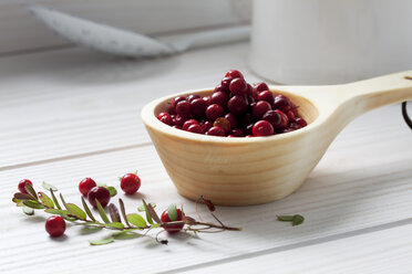 Holzlöffel mit Preiselbeeren (Vaccinium vitis-idaea), Zweig und Blättern auf weißem Holztisch - CSF020796