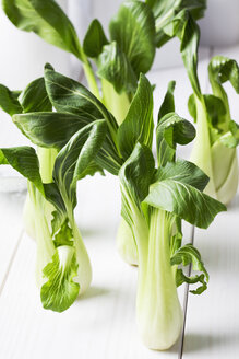 Pak choi auf weißem Holztisch - CSF020798