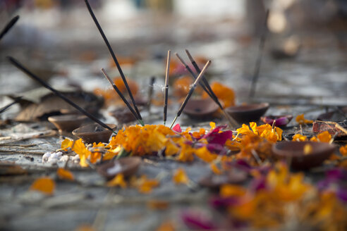 Indien, Uttar Pradesh, Allahabad, Pilgerfahrt Kumbh Mela, Räucherstäbchen und Blütenblätter - JBAF000076