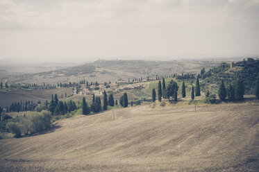 Italy, Tuscany, Val d'Orcia, Rolling landscape at Pienza - MJF000822