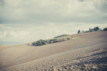 Italien, Toskana, Val d'Orcia, Feld bei Monticchiello - MJF000818