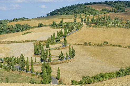 Italien, Toskana, Val d'Orcia, Landschaft mit kurvenreicher Straße bei Monticchiello - MJF000817