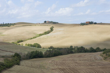 Italy, Tuscany, Val d'Orcia, Rolling landscape with flock of sheep - MJF000861