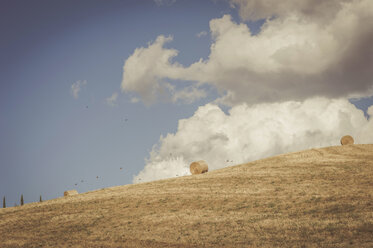 Italien, Toskana, Val d'Orcia, Strohballen auf einem Feld - MJF000747