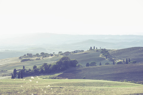 Italien, Toskana, Val d'Orcia, Hügellandschaft, lizenzfreies Stockfoto