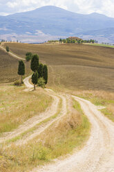 Italien, Toskana, Val d'Orcia, Hügellandschaft bei Siena - MJF000840