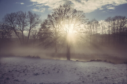 Germany, Bavaria, Landshut, winter landscape with morning sun - SARF000218