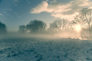 Deutschland, Bayern, Landshut, Winterlandschaft mit Morgensonne - SAR000216