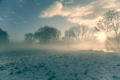 Germany, Bavaria, Landshut, winter landscape with morning sun - SAR000216