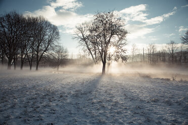 Deutschland, Bayern, Landshut, Winterlandschaft mit Morgensonne - SARF000215