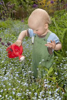 Kleiner Junge beim Blumengießen - BFRF000338