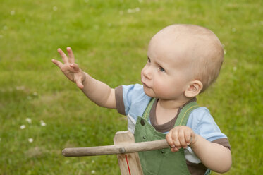 Kleiner Junge im Garten - BFRF000341