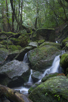 Japan, Yakushima, Wasserfall im Regenwald, Welterbe, Naturstätte - FL000385