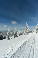 Germany, Baden-Wuerttemberg, Black Forest, Feldberg, way and trees in winter - PAF000320