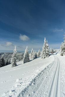 Deutschland, Baden-Württemberg, Schwarzwald, Feldberg, Weg und Bäume im Winter - PAF000320