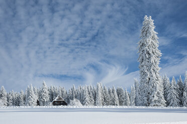 Deutschland, Baden-Württemberg, Schwarzwald, Feldberg, Hütte und Bäume im Winter - PA000312