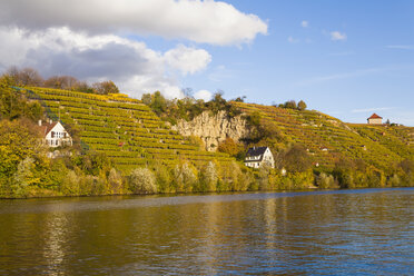 Deutschland, Baden-Württemberg, Stuttgart, Blick auf Neckar und Weinberge - WDF002231