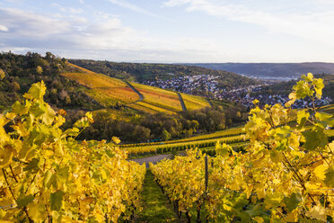 Deutschland, Baden-Württemberg, Stuttgart, Blick über Reben nach Uhlbach - WDF002232