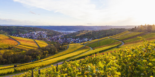 Deutschland, Baden-Württemberg, Stuttgart, Blick über Reben nach Uhlbach - WDF002234