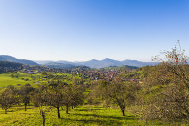 Deutschland, Baden-Württemberg, Schwarzwald, Nordschwarzwald, Blick auf Loffenau bei Gernsbach, Wiese mit Streuobstbeständen - WDF002252