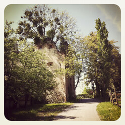 Ruins, trees, Styria, Austria - DISF000508