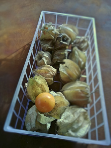 Kapstachelbeere / Physalis (Physalis peruviana) in Verpackungen, lizenzfreies Stockfoto