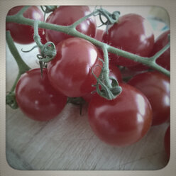 tomaten - MYF000147