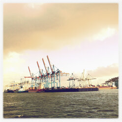 Terminal Burchardkai, Containerterminal im Hamburger Hafen an der Oederelbe, Hamburg, Deutschland - SEF000490