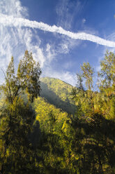 Indonesien, Java, Landschaft in der Nähe des Vulkans Mount Bromo - KRP000262