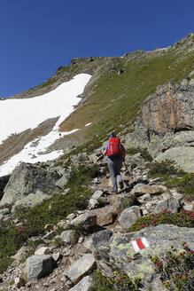 Österreich, Vorarlberg, Frau beim Wandern am Grafierjoch und am Schafberg - SIEF005041