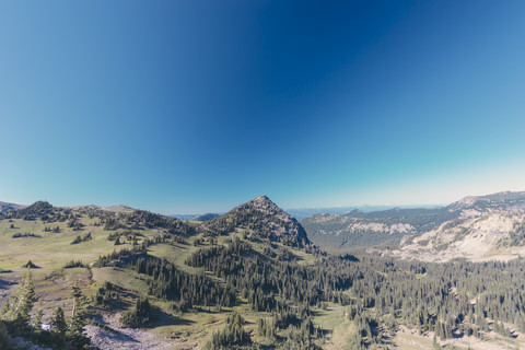 USA, Staat Washington, Blick über den Mt. Rainier National Park, lizenzfreies Stockfoto