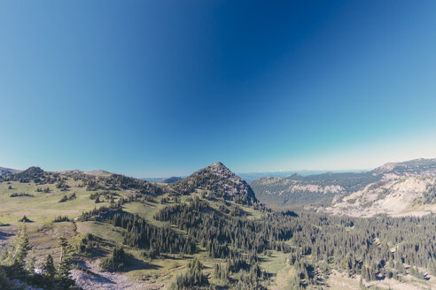 USA, Staat Washington, Blick über den Mt. Rainier National Park - MFF000857