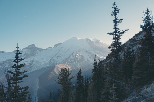 USA, Staat Washington, Blick über den Mt. Rainier National Park - MFF000860