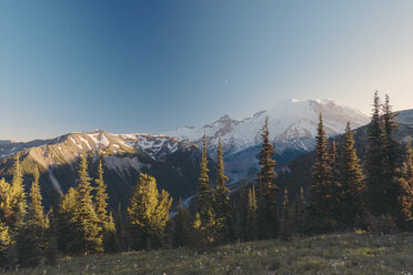 USA, Staat Washington, Blick über den Mt. Rainier National Park - MFF000861