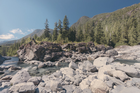 Kanada, Britisch-Kolumbien, Natural creek, lizenzfreies Stockfoto