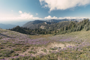 Canada, British Columbia, View over valley and mountains - MFF000866