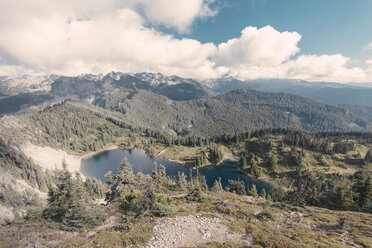 Canada, British Columbia, Lake in forest - MFF000867