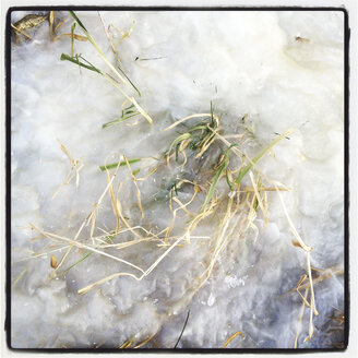 Grass on the frozen banks of a stream, Waldviertel, Lower Austria, Austria - DISF000548