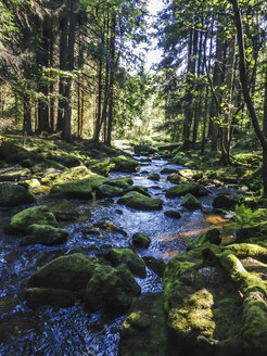 Höllbach am Arbesbach, Zwettl, Waldviertel, Niederösterreich, Österreich - DISF000560