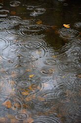 Germany, Bavaria, View of pond with raindrops - AXF000626