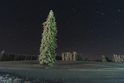 Germany, Baden-Wuerttemberg, Feldberg, winter landscape by night stock photo