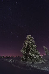 Germany, Baden-Wuerttemberg, Feldberg, winter landscape by night - PAF000331