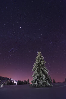 Deutschland, Baden-Württemberg, Feldberg, Winterlandschaft bei Nacht - PA000333