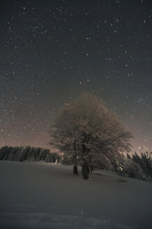 Deutschland, Baden-Württemberg, Feldberg, Winterlandschaft bei Nacht - PAF000359