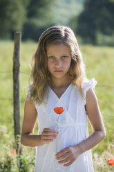Porträt eines kleinen Mädchens mit Mohnblume in der Hand - PAF000334